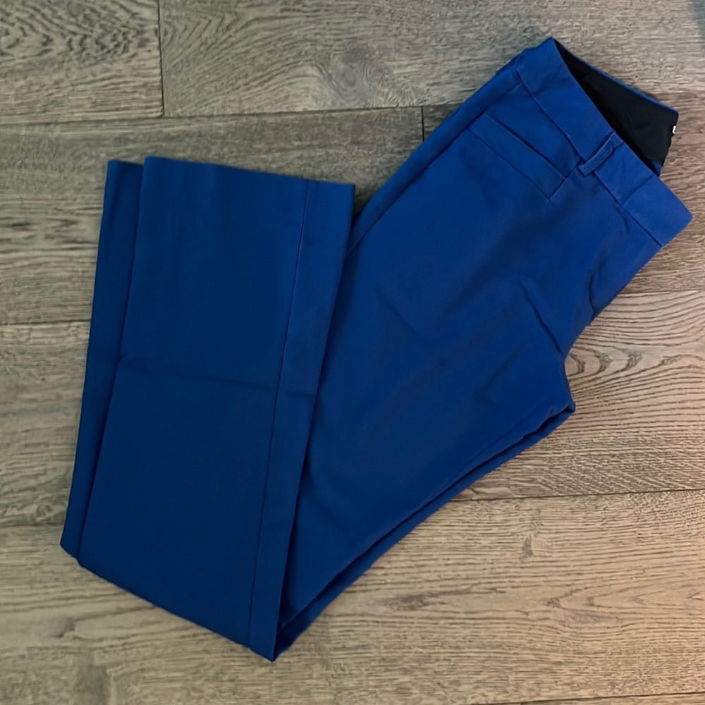 Express Columnist Pants - blue - 4L